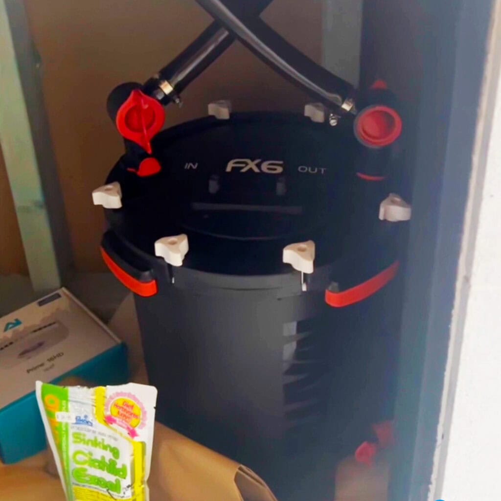 A black and red fx6 aquarium filter sits in a corner, efficiently managing your freshwater fish habitat. It features two hoses marked "in" and "out. " beside it, boxes and a packet labeled "sinking cichlid" with colorful packaging hint at seamless aquarium maintenance.