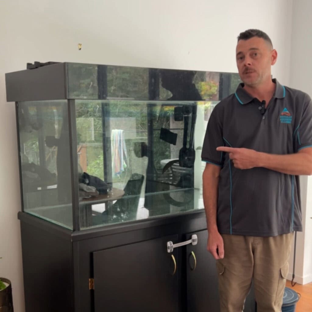 Brenden from australian aquarium cleaning pointing to an empty 400 litre tank before the planted aquarium setup in brisbane