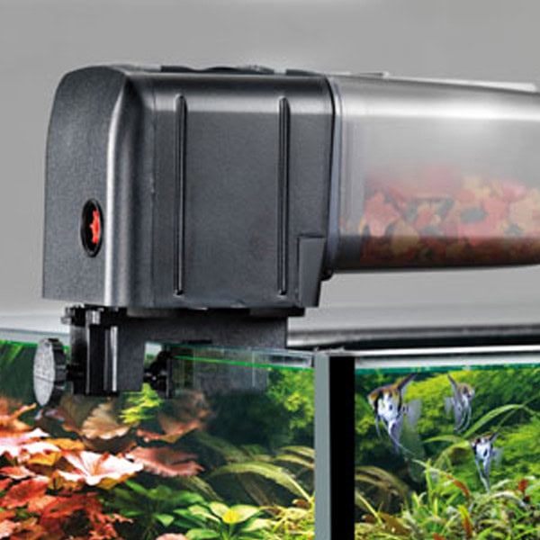 Automatic fish feeder used for aquarium care during holidays