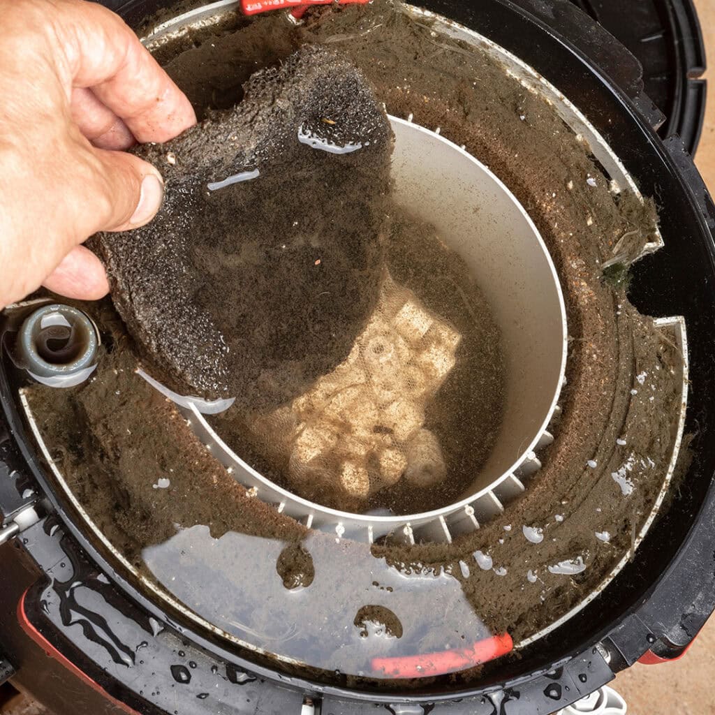 Aquarium cleaning service specializing in filter maintenance and debris removal for a clean, healthy fish tank.