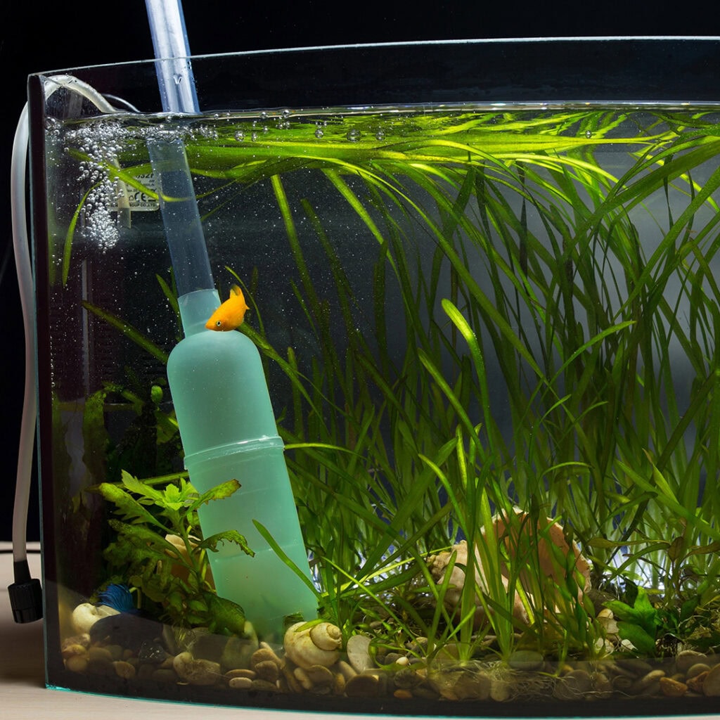 High-quality aquarium cleaning equipment for freshwater and saltwater tanks. Keep your aquarium pristine and healthy.