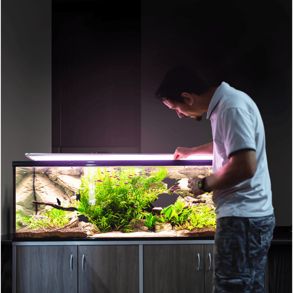 A man in a white shirt tends to a large, well-lit aquarium filled with green plants, rocks, and fish—showcasing proper aquarium maintenance and avoiding common fish tank cleaning mistakes—on top of a wooden cabinet against a dark background.
