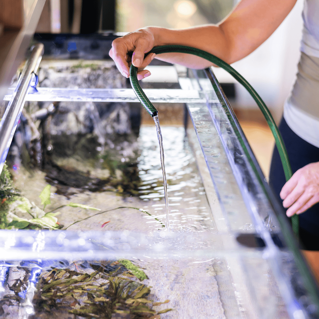 A person holds a green hose, filling a large glass aquarium with water—an essential step in aquarium maintenance. Plants and rocks decorate the tank, while the person in a sleeveless top focuses on keeping the fish habitat clean and healthy.